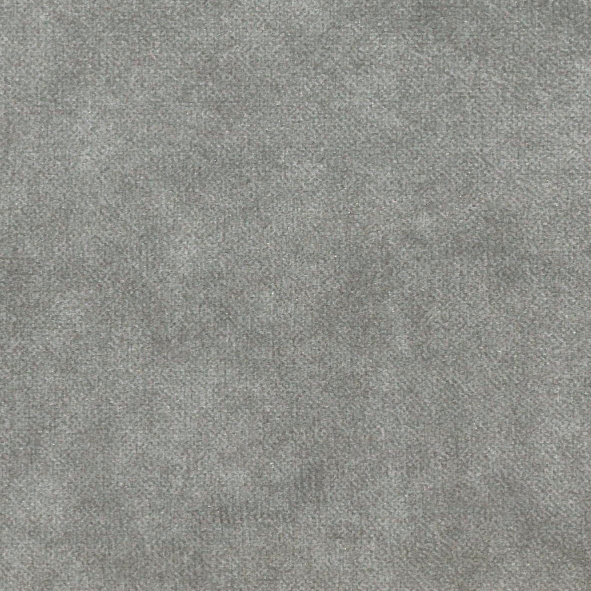 Luzi - Image 5